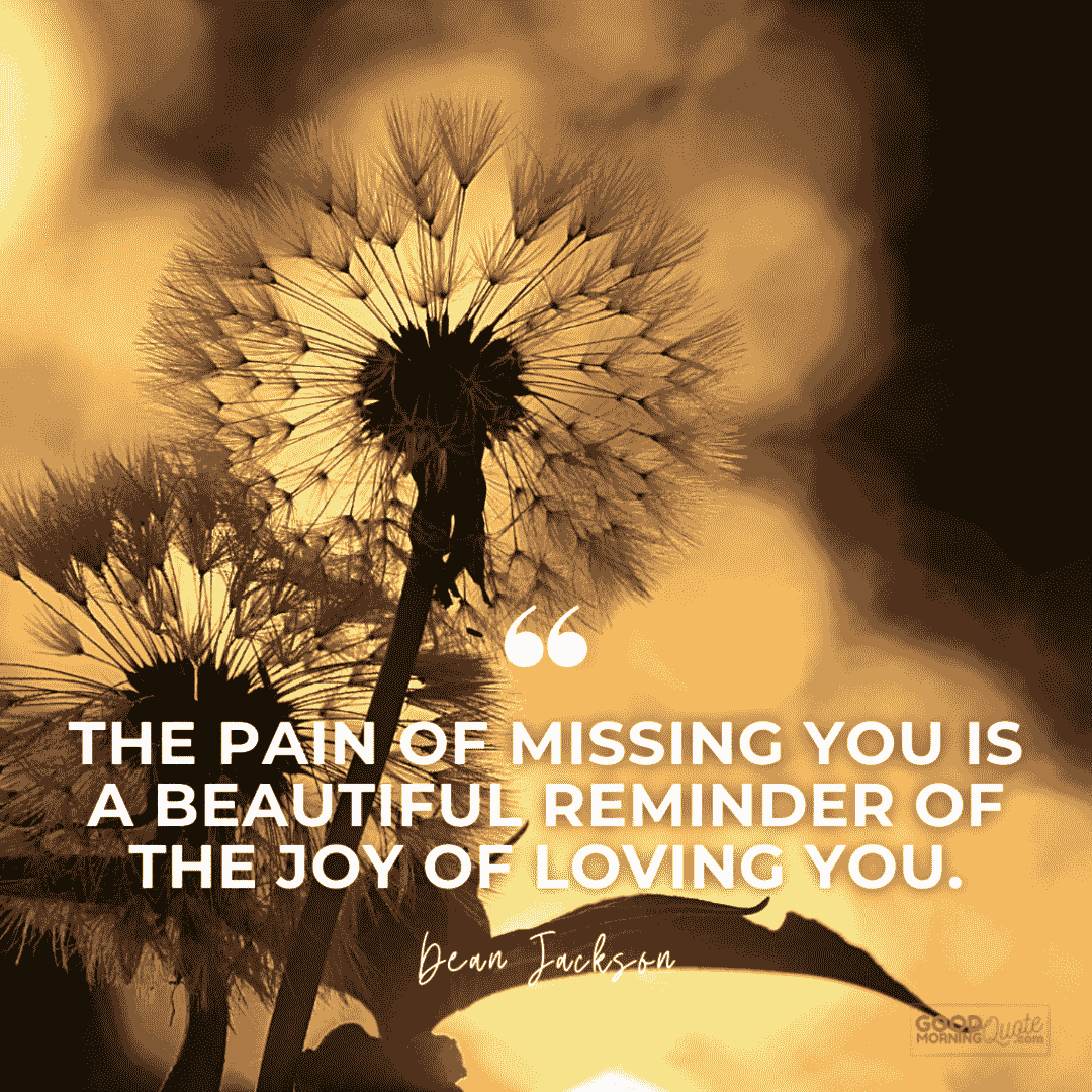 "the pain of missing you" love quote with flower in the background