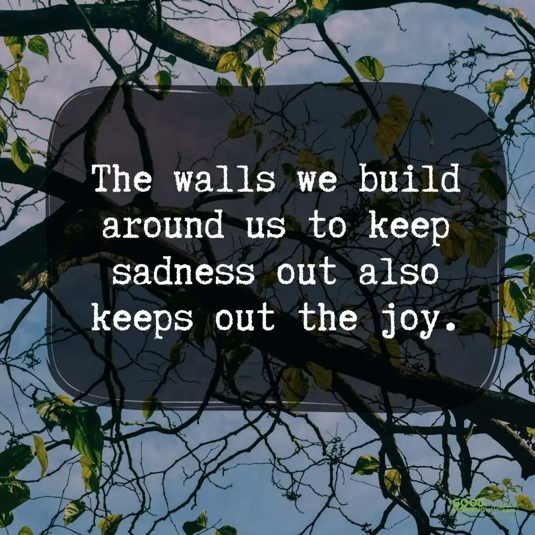 the walls we build around us sad quote with trees and sky background