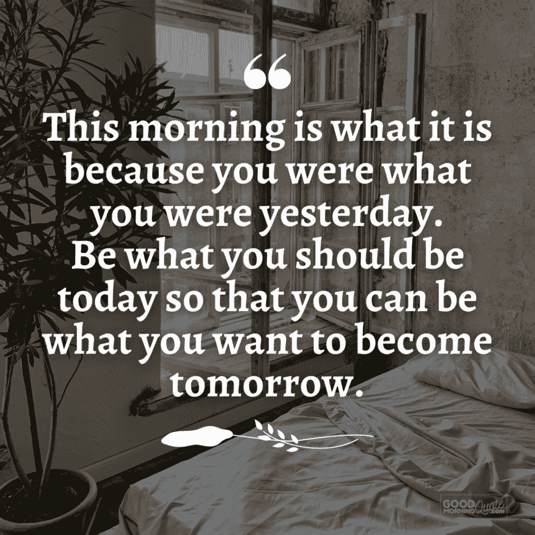 this morning is what it is morning inspirational quote, bed plant background