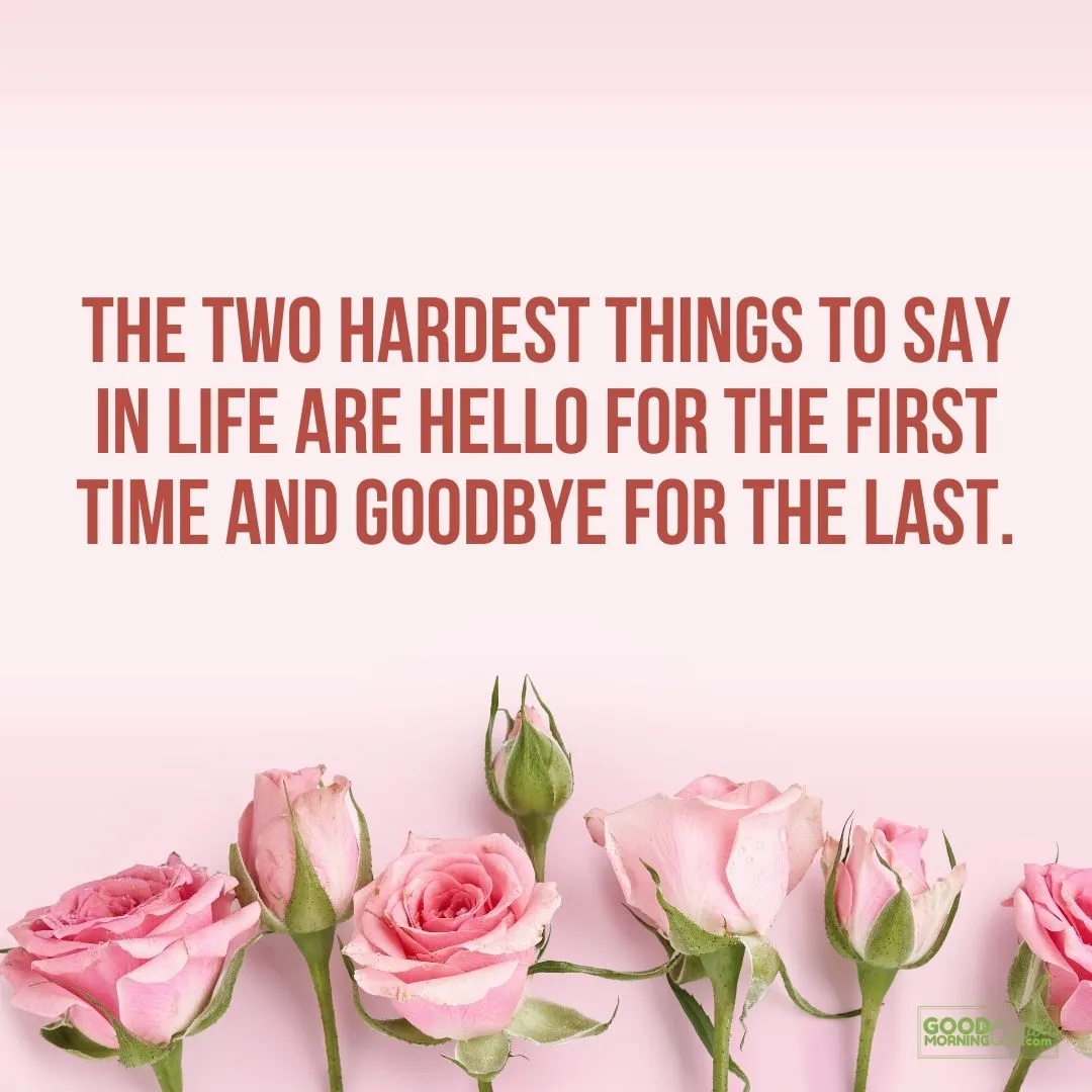"two hardest things to say" farewell quote with pink floral background