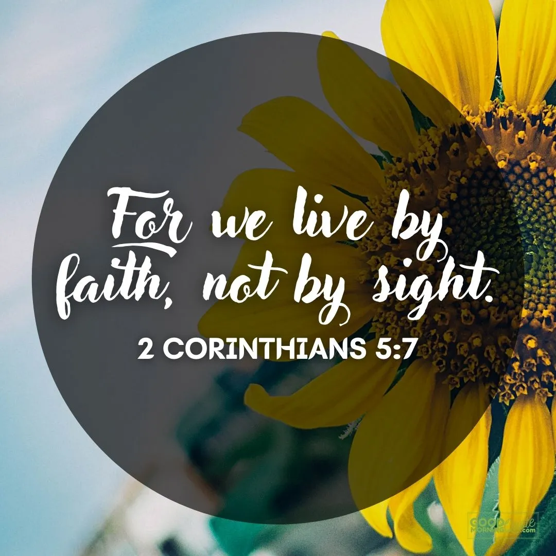 we live by faith bible verse - 2 Corinthians 5:7 with sunflower background
