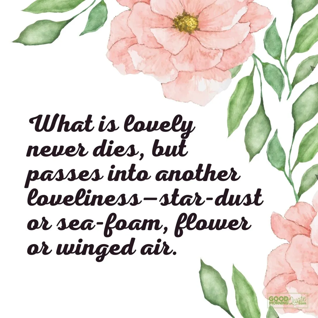 what is lovely never dies sympathy quote