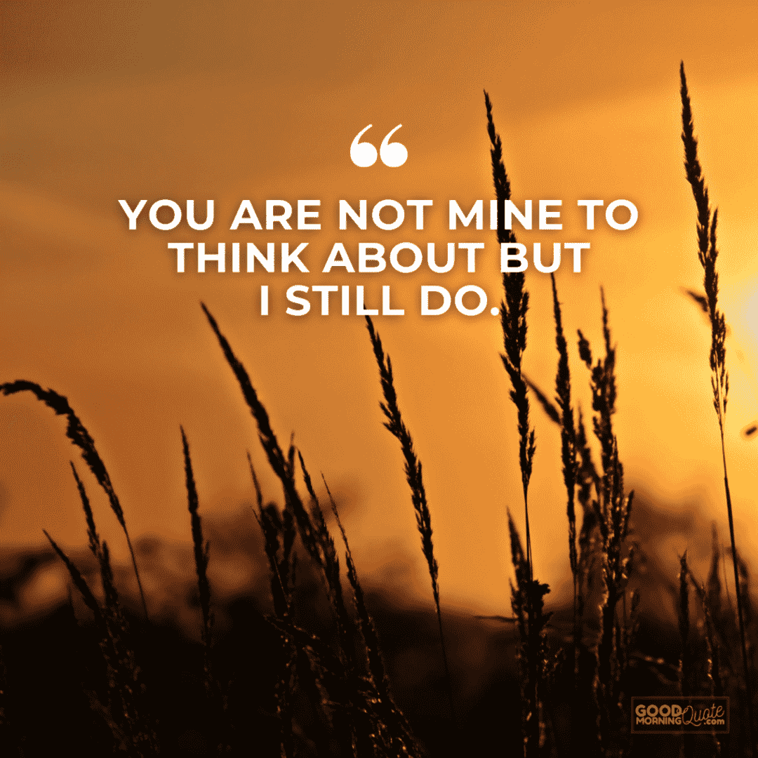 "you are not mine to think about" with sunset and plants in the background