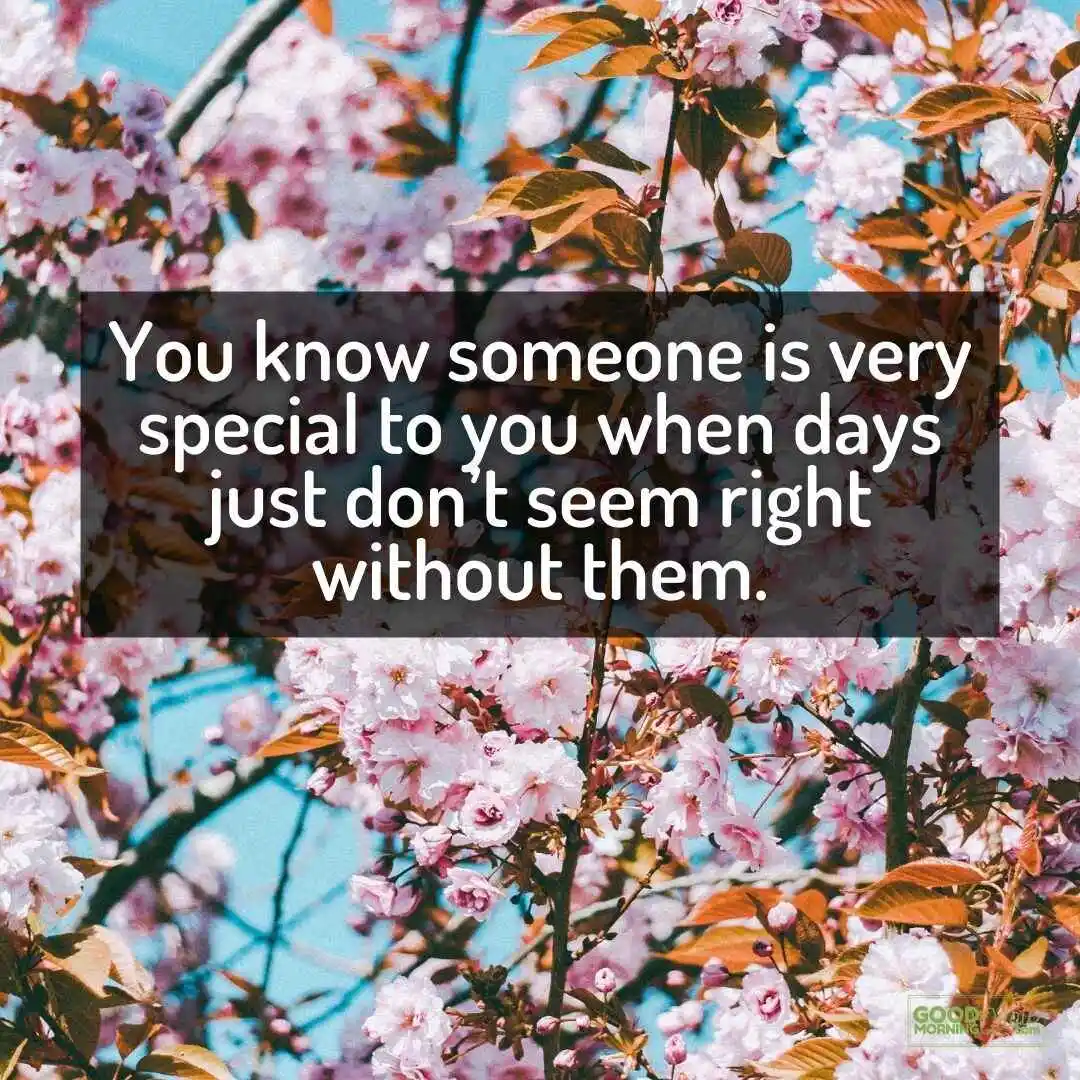 Quotes About Missing Someone You Love | Good Morning Quote