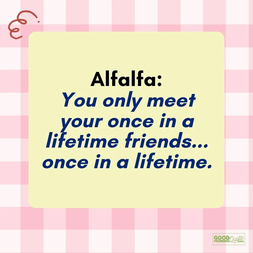 you only meet with pink abstract background