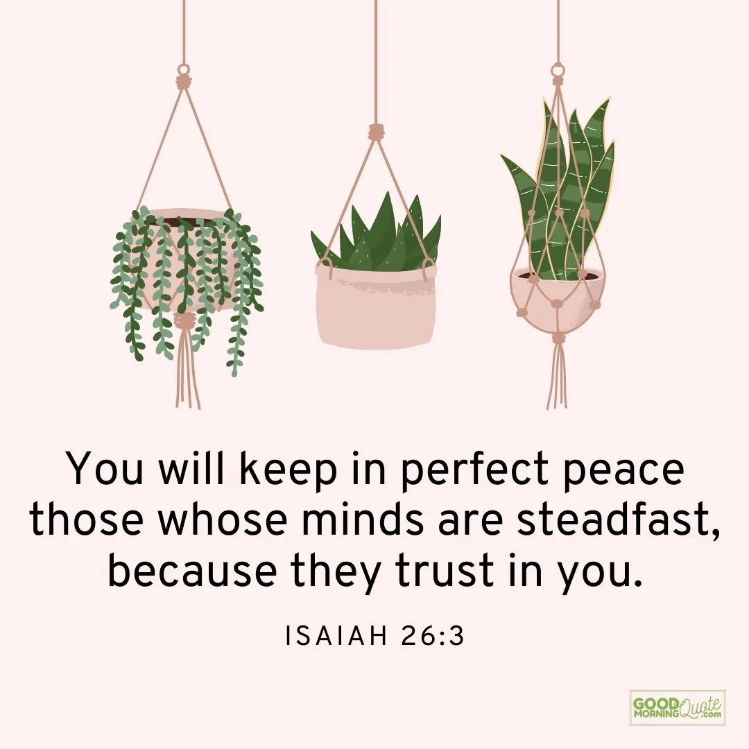 you will keep in perfect peace bible verse - Isaiah 26:3 with three hanging plants on the background
