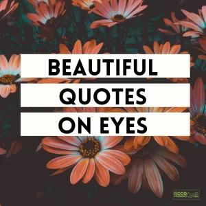Beautiful Quotes on Eyes