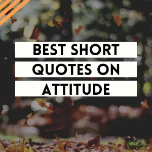 Best Short Quotes on Attitude