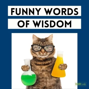 Funny Words of Wisdom