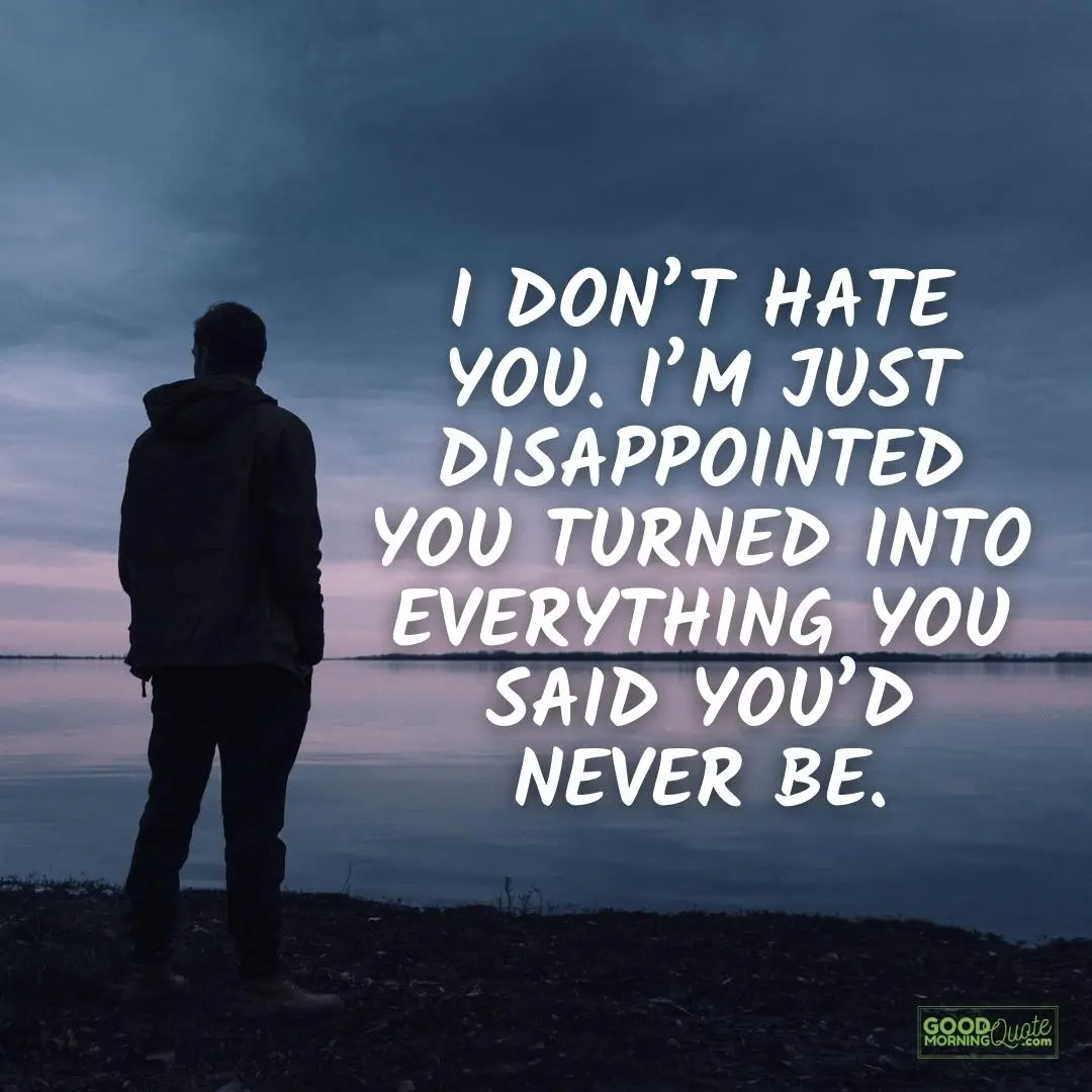 I don't hate you sad love quote