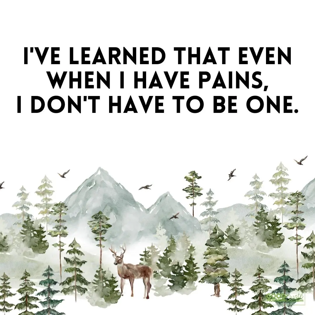 I've learn that even when I have pains funny wisdom quote