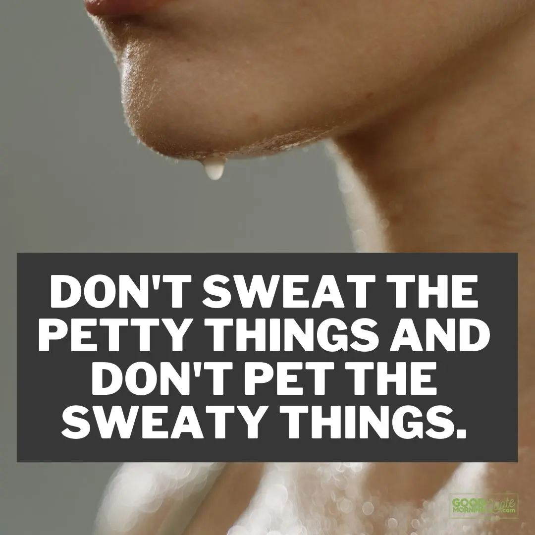 don't sweat the petty things funny wisdom quote