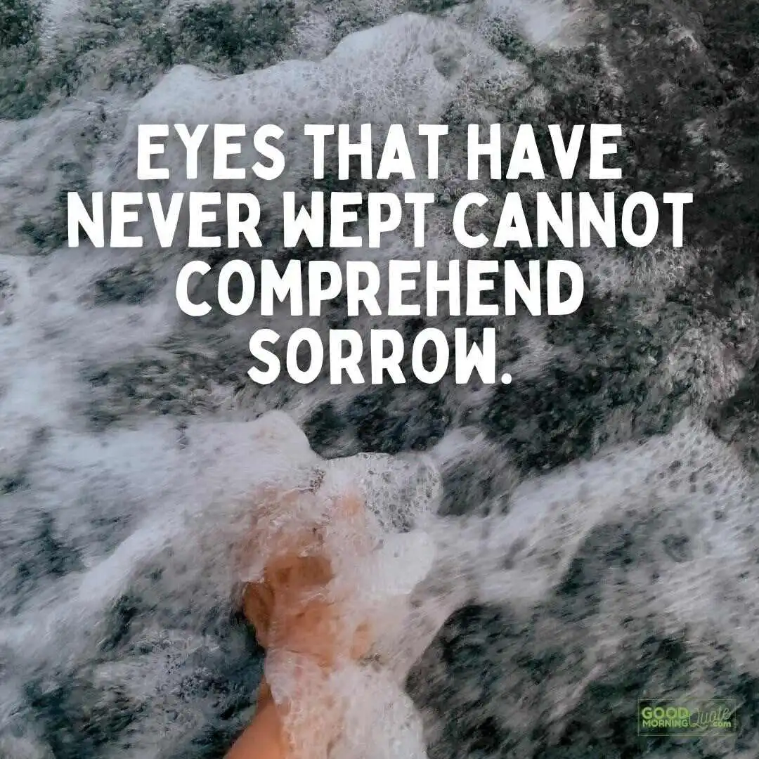 eyes that have never wept eyes quote