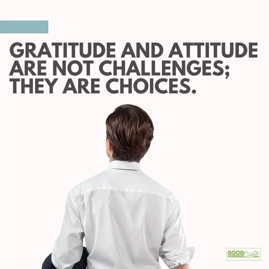 gratitude and attitude quote