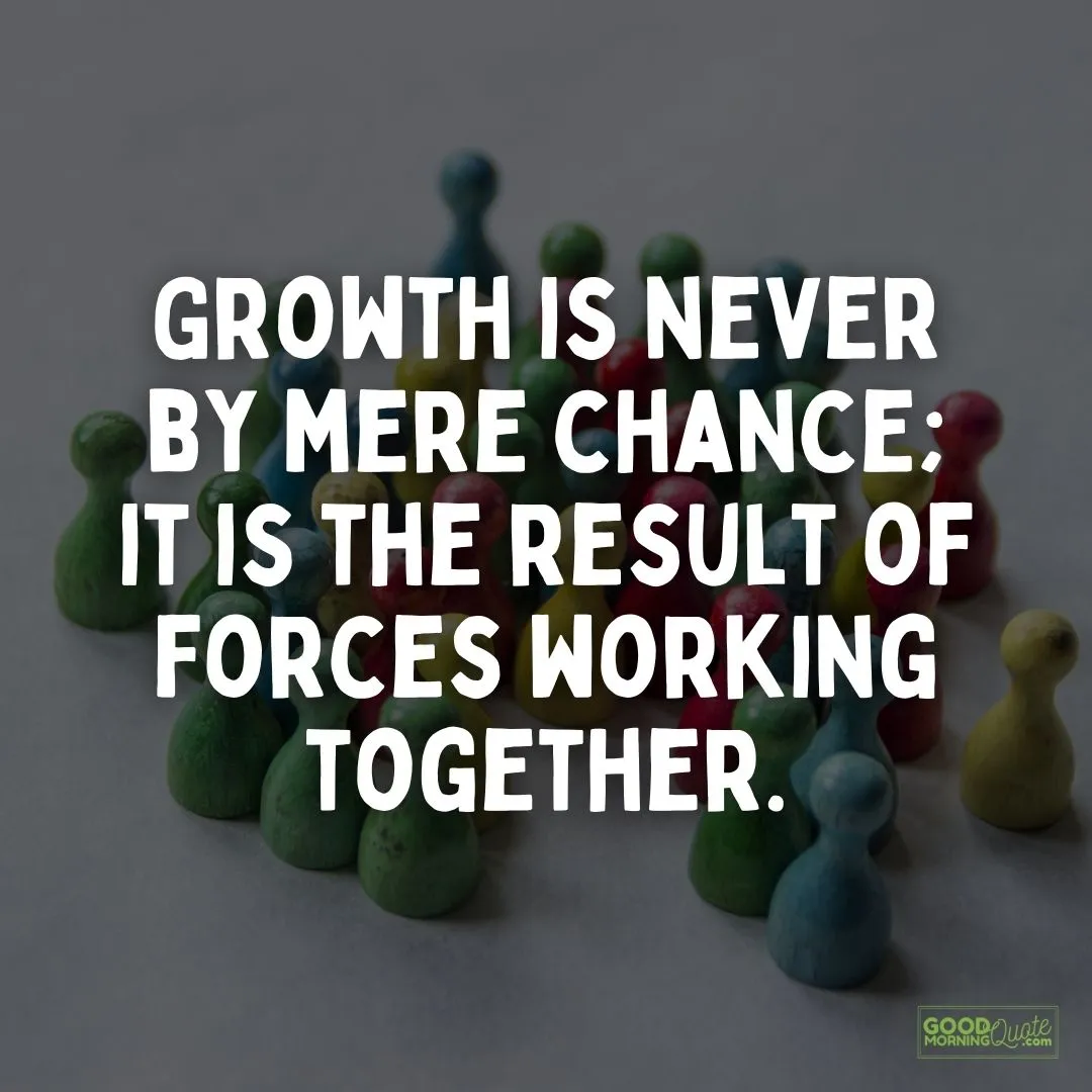 growth is never by mere chance teamwork quote