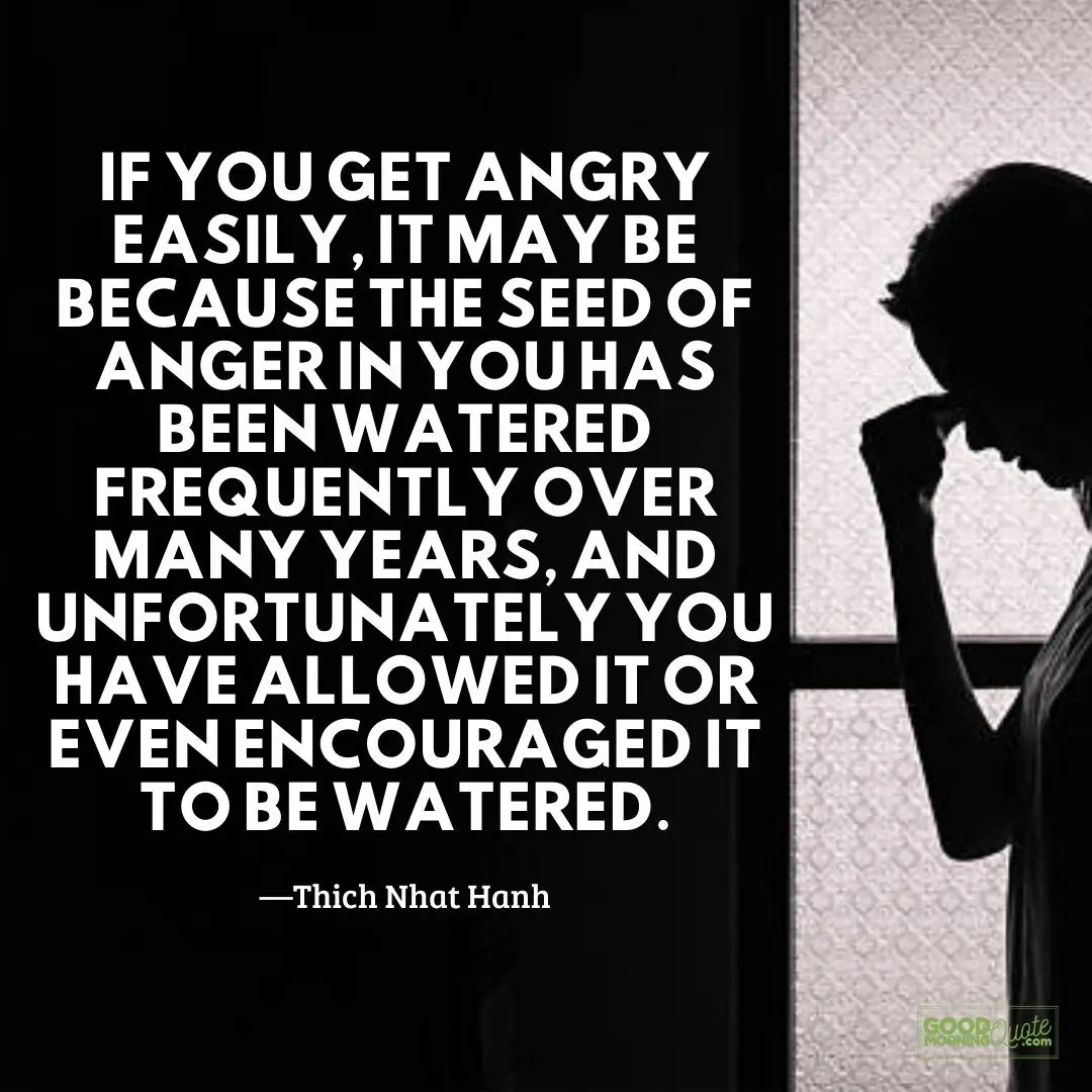 if you get angry easily anger quote
