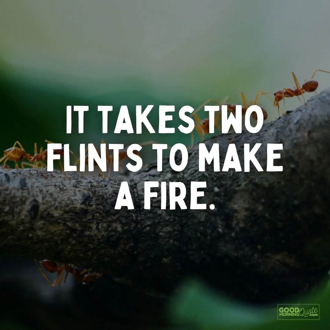 it takes two flints teamwork quote