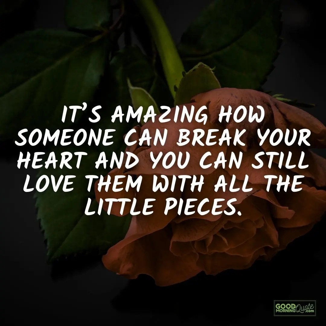 it's amazing how someone can break your heart sad love quote