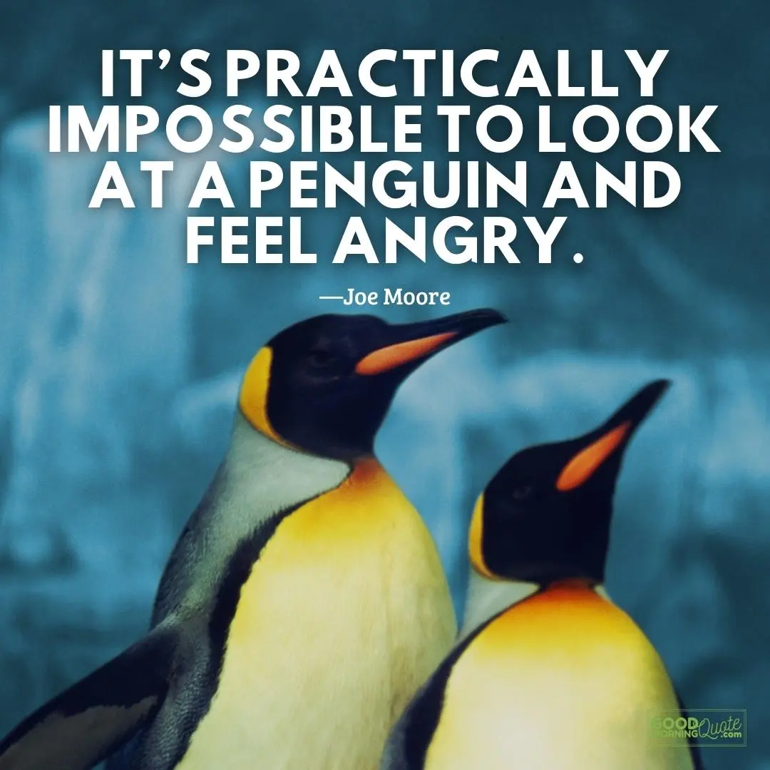 it's practically impossible anger quote