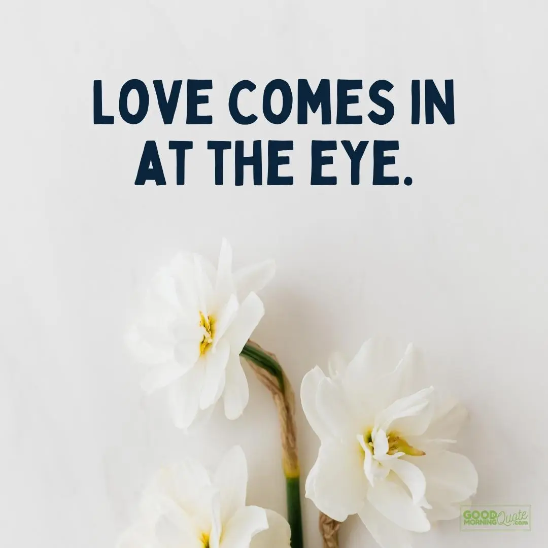 love comes in eyes quote