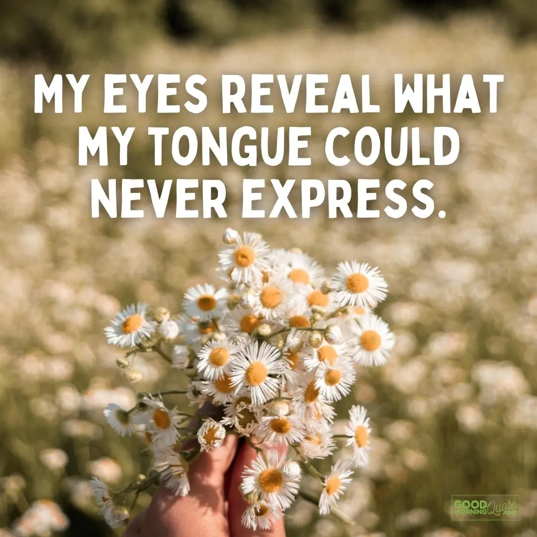 my eyes reveal eyes quote