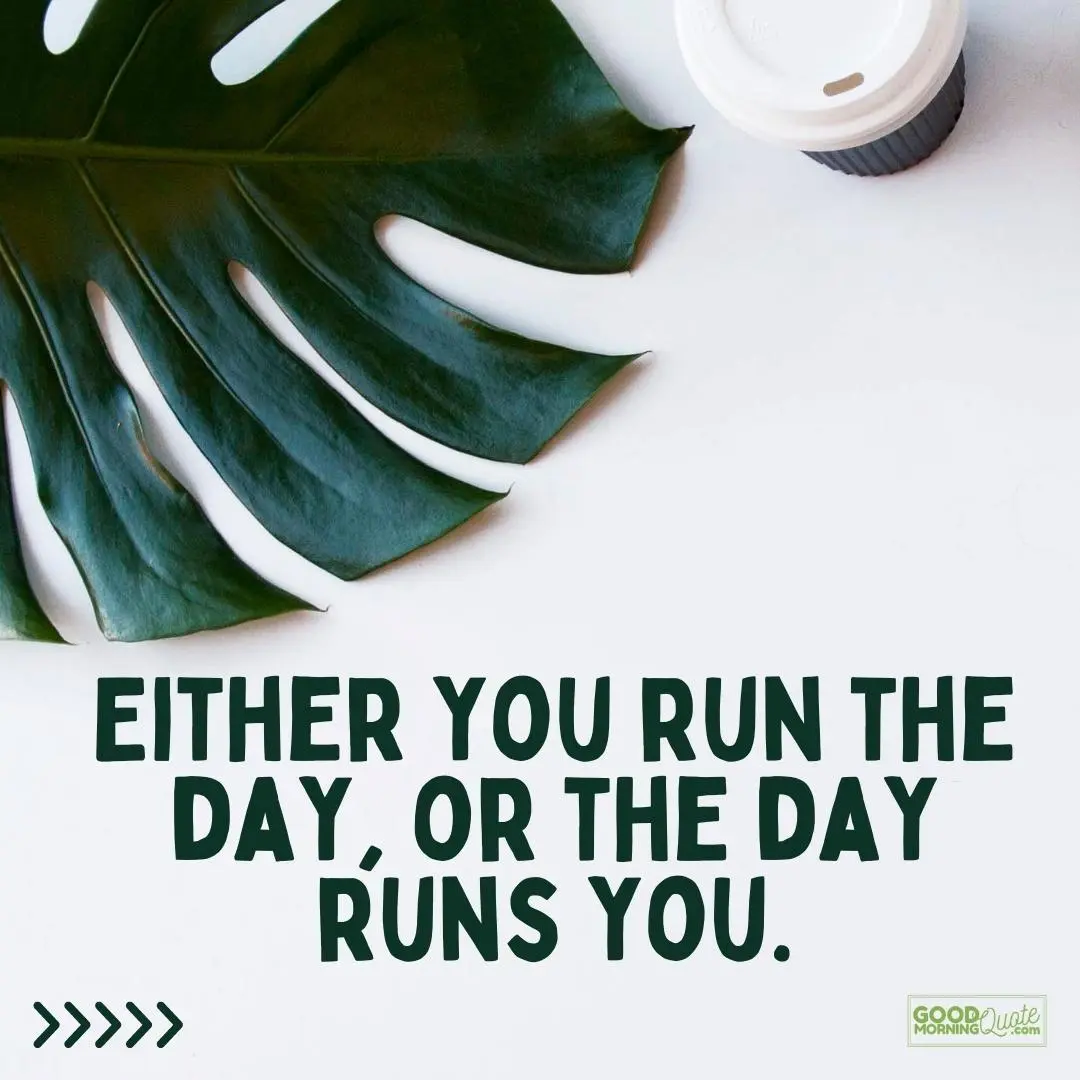 run the day or the day runs you