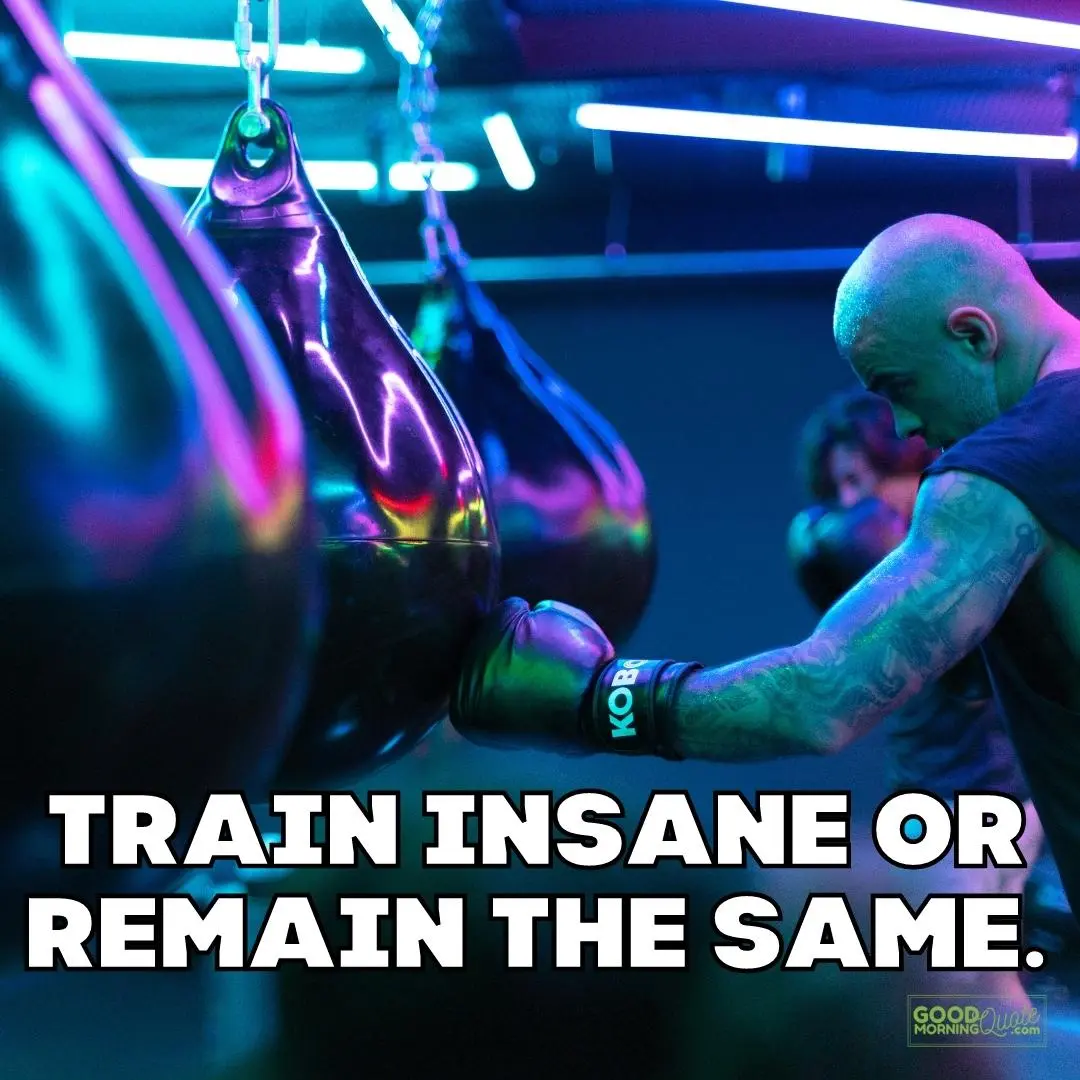 train insane gym motivational quote