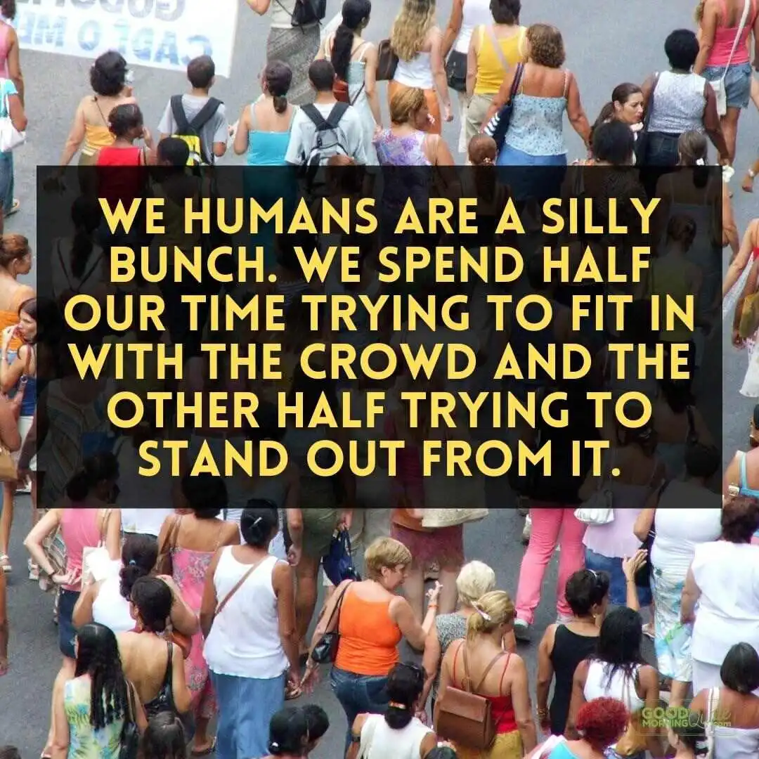 we humans are a silly bunch funny wisdom quote