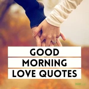 Good Morning Love Quotes