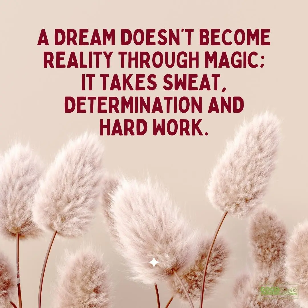 a dream doesn't become reality through magic happy tuesday quote