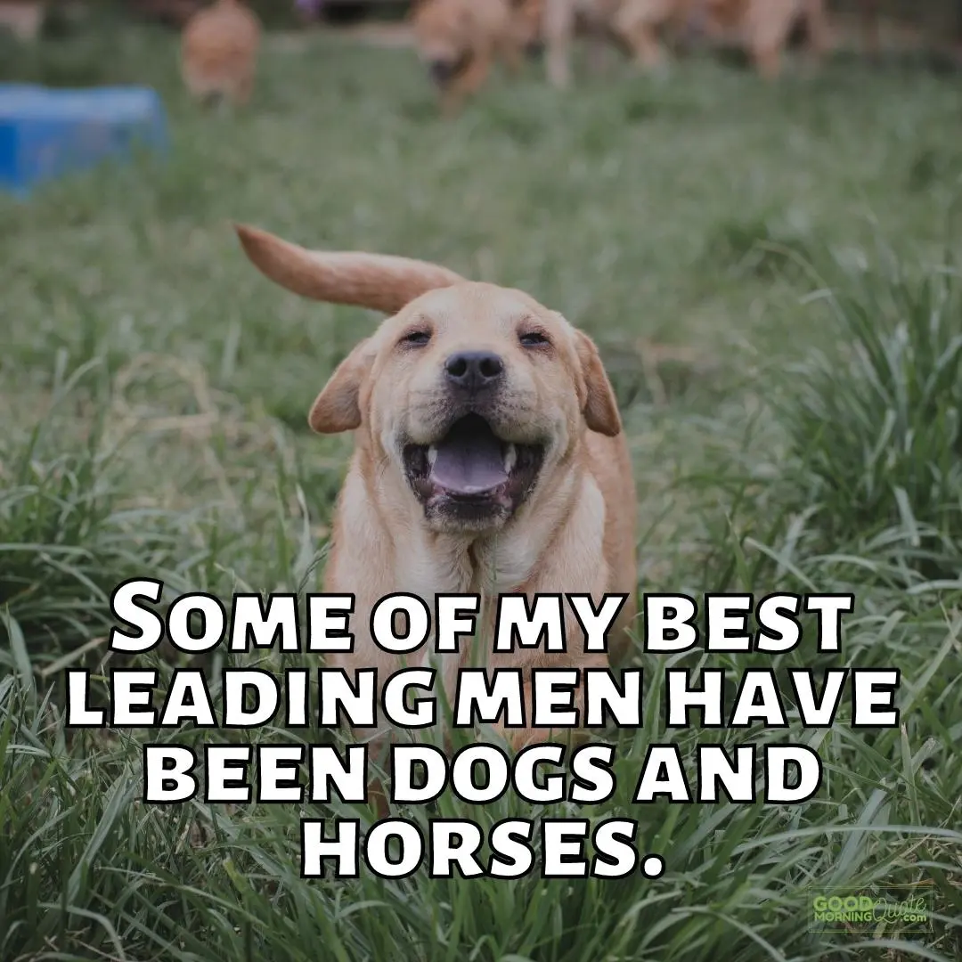 best leading men funny dog quote