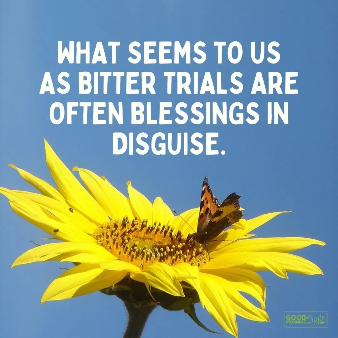 blessings in disguise happy tuesday quote