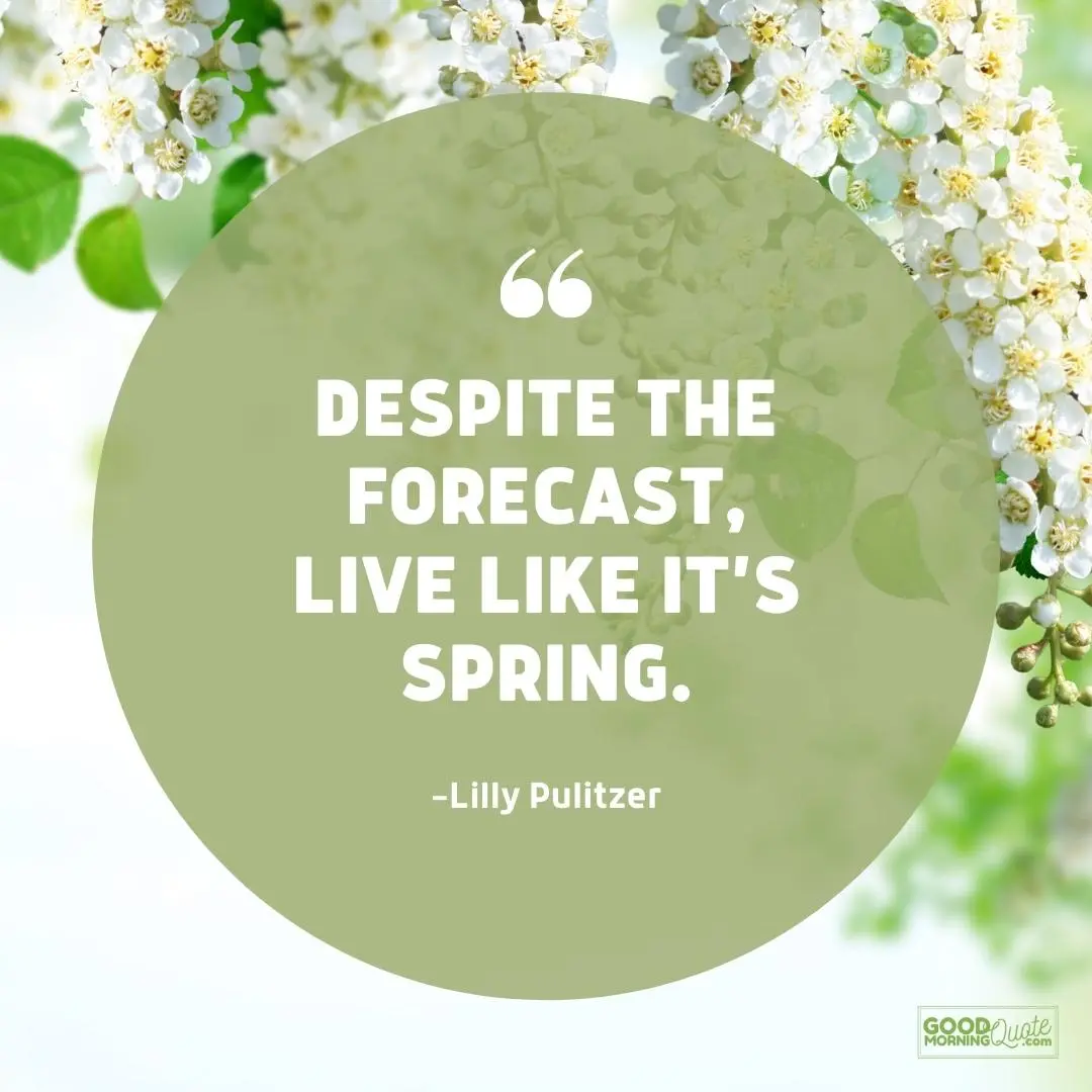 despite the forecast spring quote