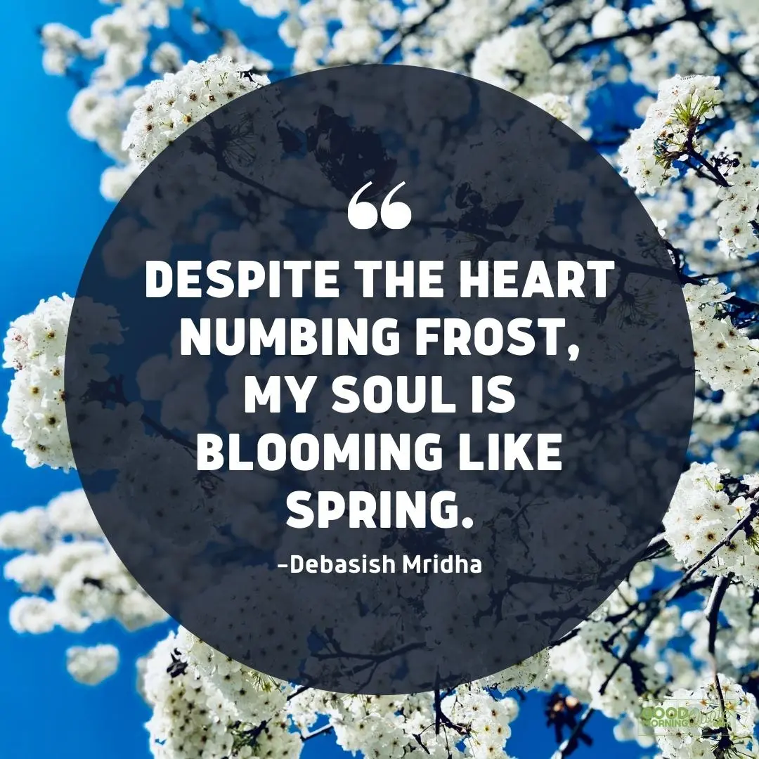 despite the heart numbing frost spring quote