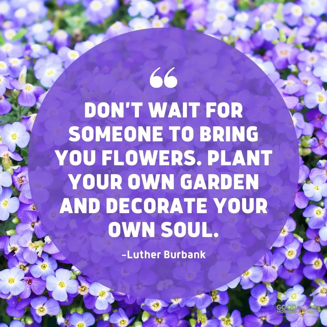 don't wait for someone to bring you flowers spring quote