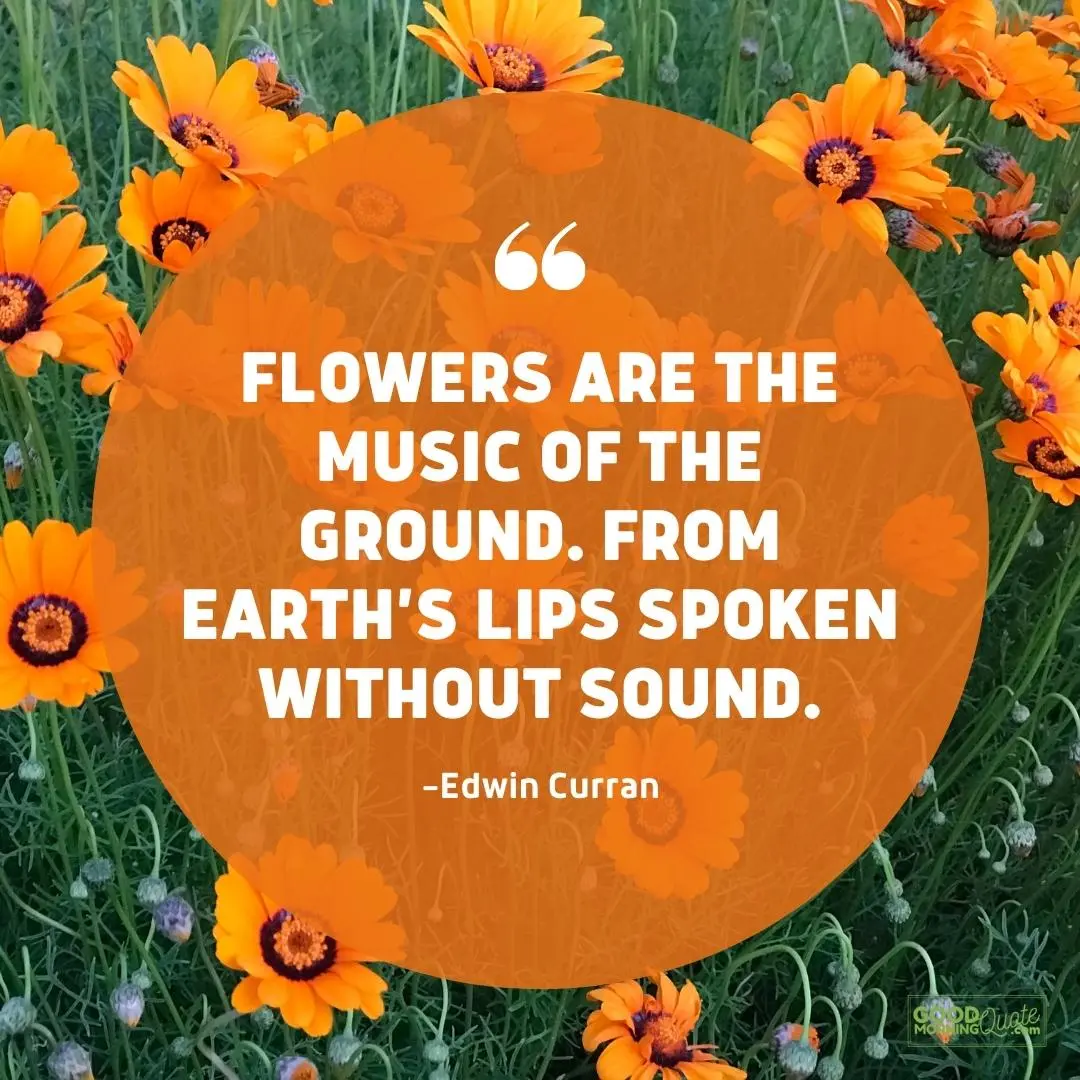 flowers are the music of the ground spring quote