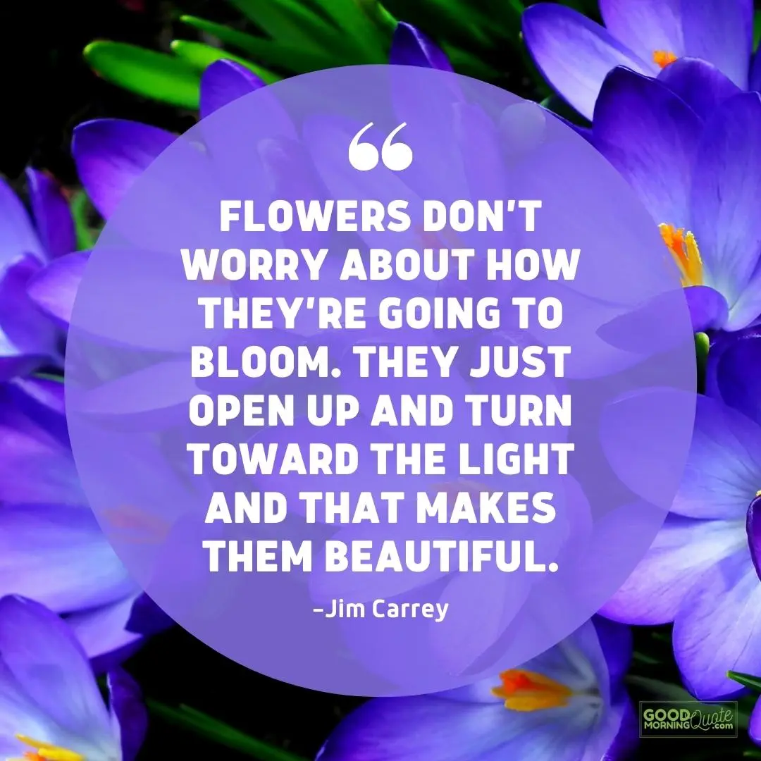 flowers don't worry about how they're going to bloom spring quote