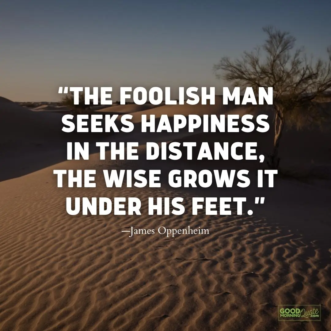 foolish man seeks happiness meaningful life quote