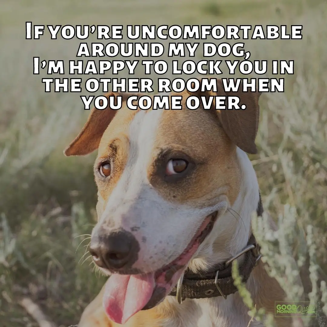 happy to lock you down funny dog quote
