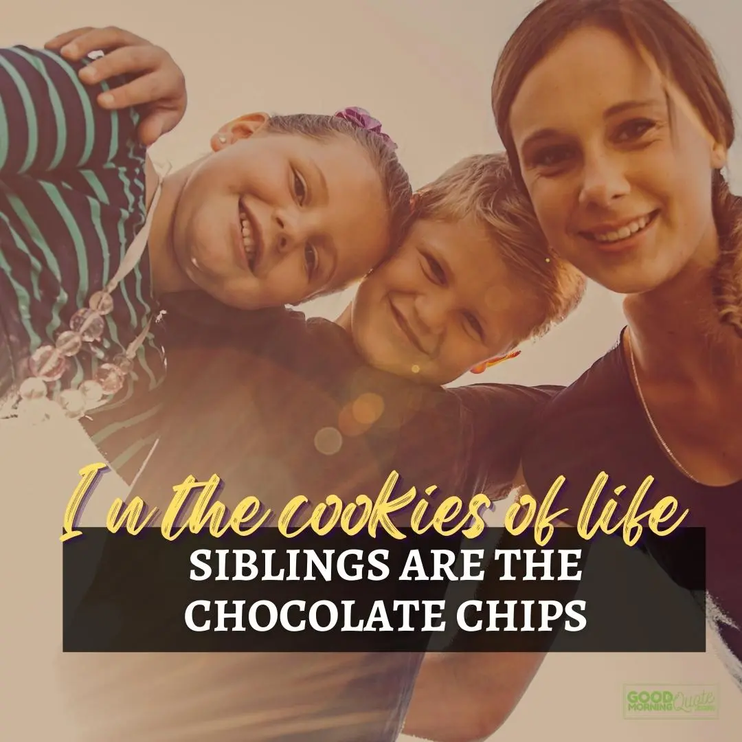 in the cookies of life siblings quote