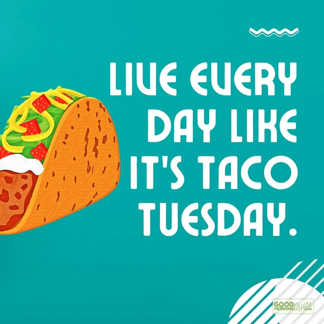 live every day like it's a taco tuesday quote