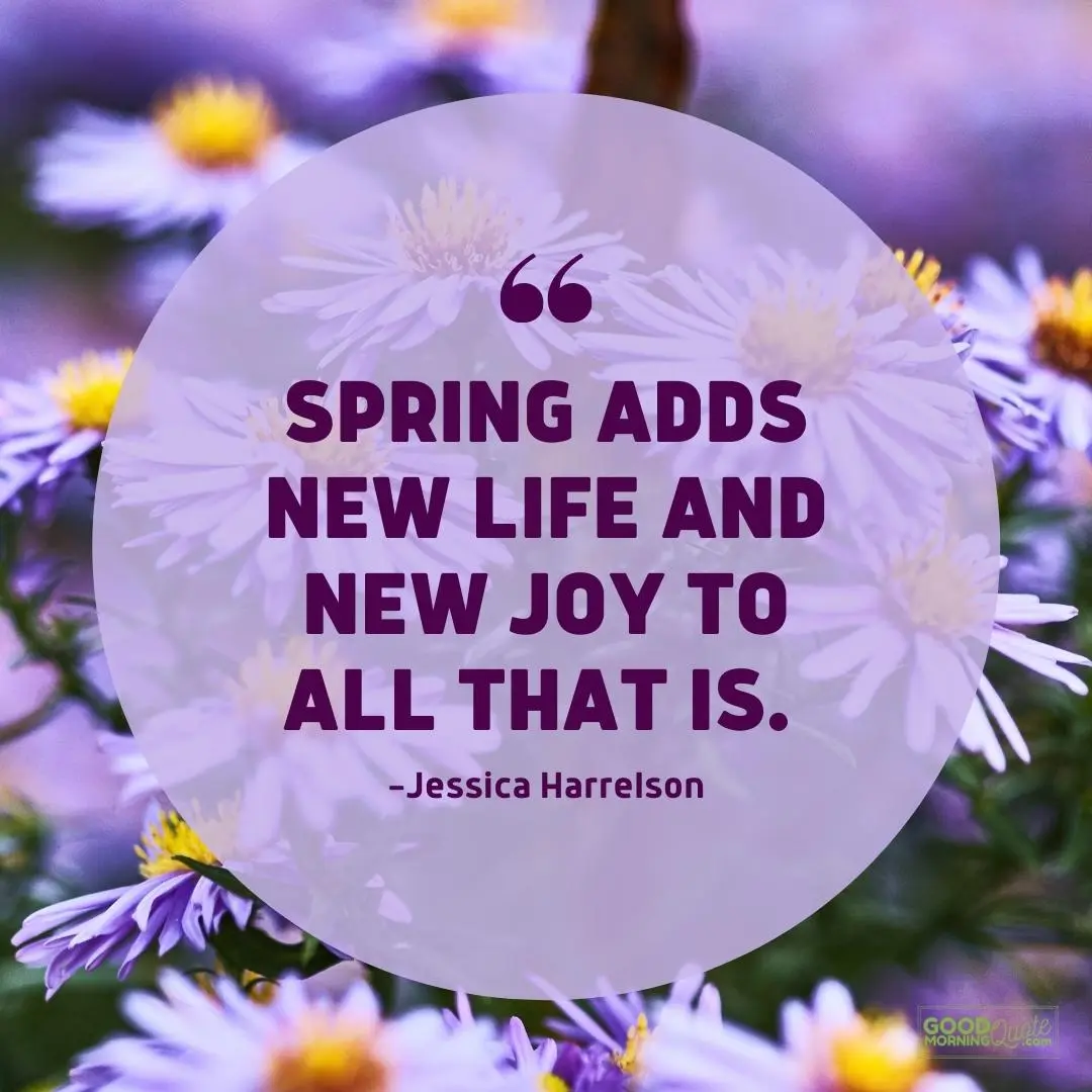 new life and new joy spring quote
