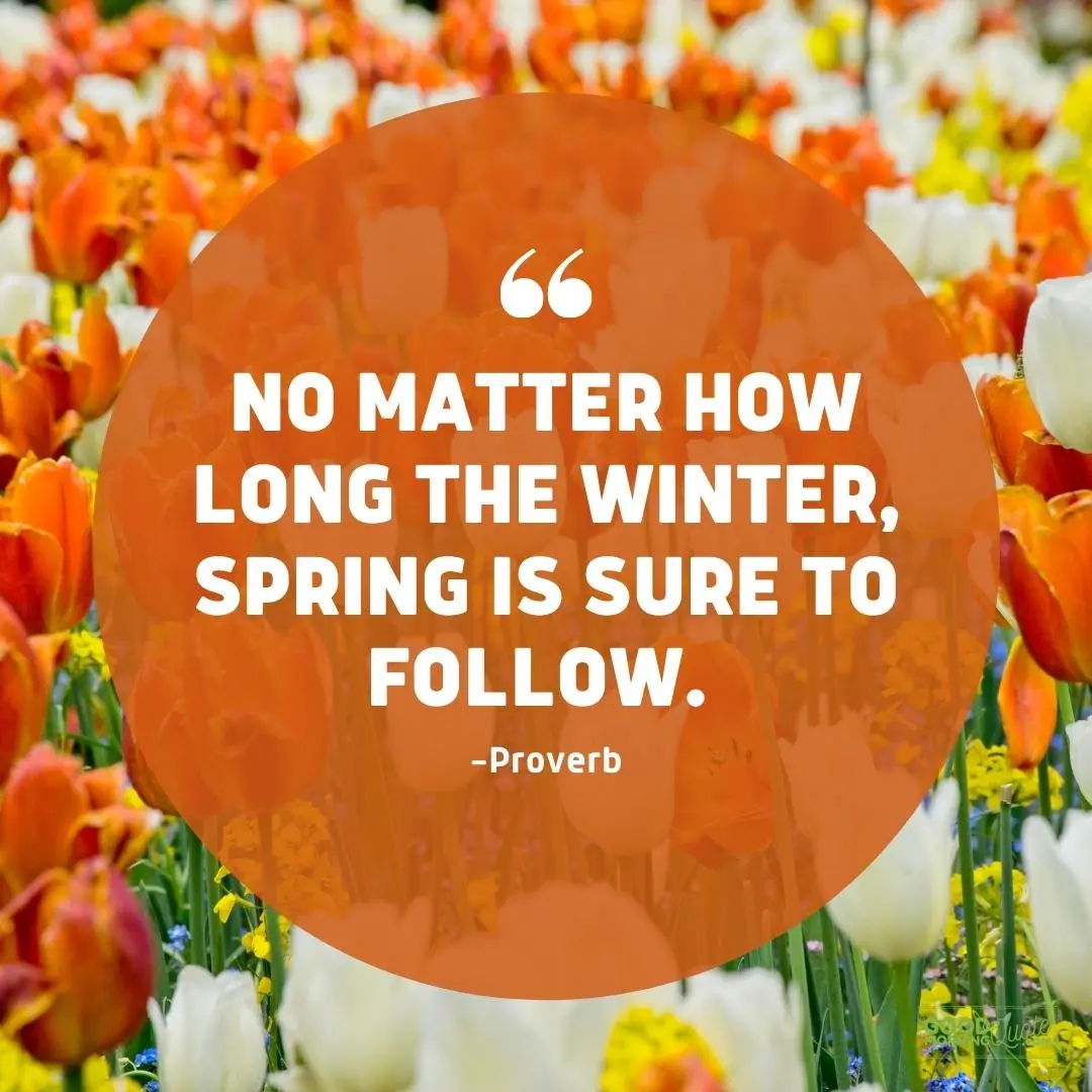 no matter how long the winter spring quote
