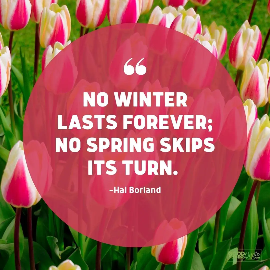 no winter lasts forever spring quote
