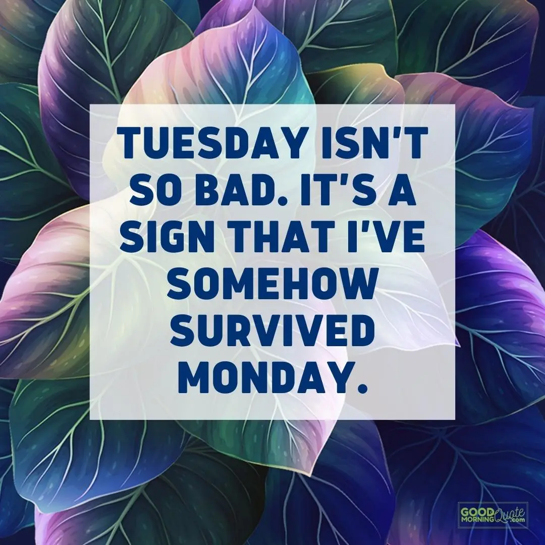 sign that I have somehow survived monday happy tuesday quote