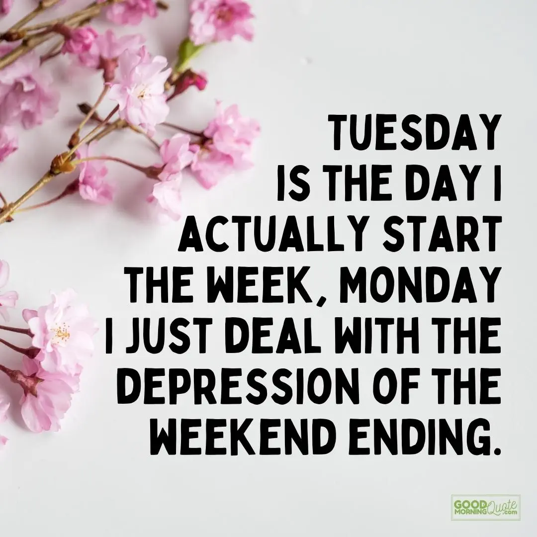 the day I actually start the week happy tuesday quote