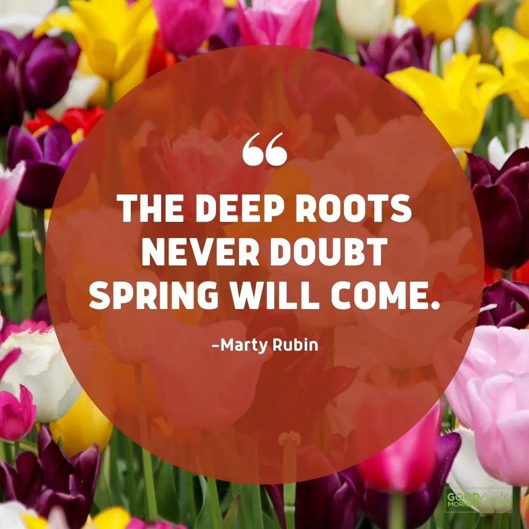 the deep roots never doubt spring quote
