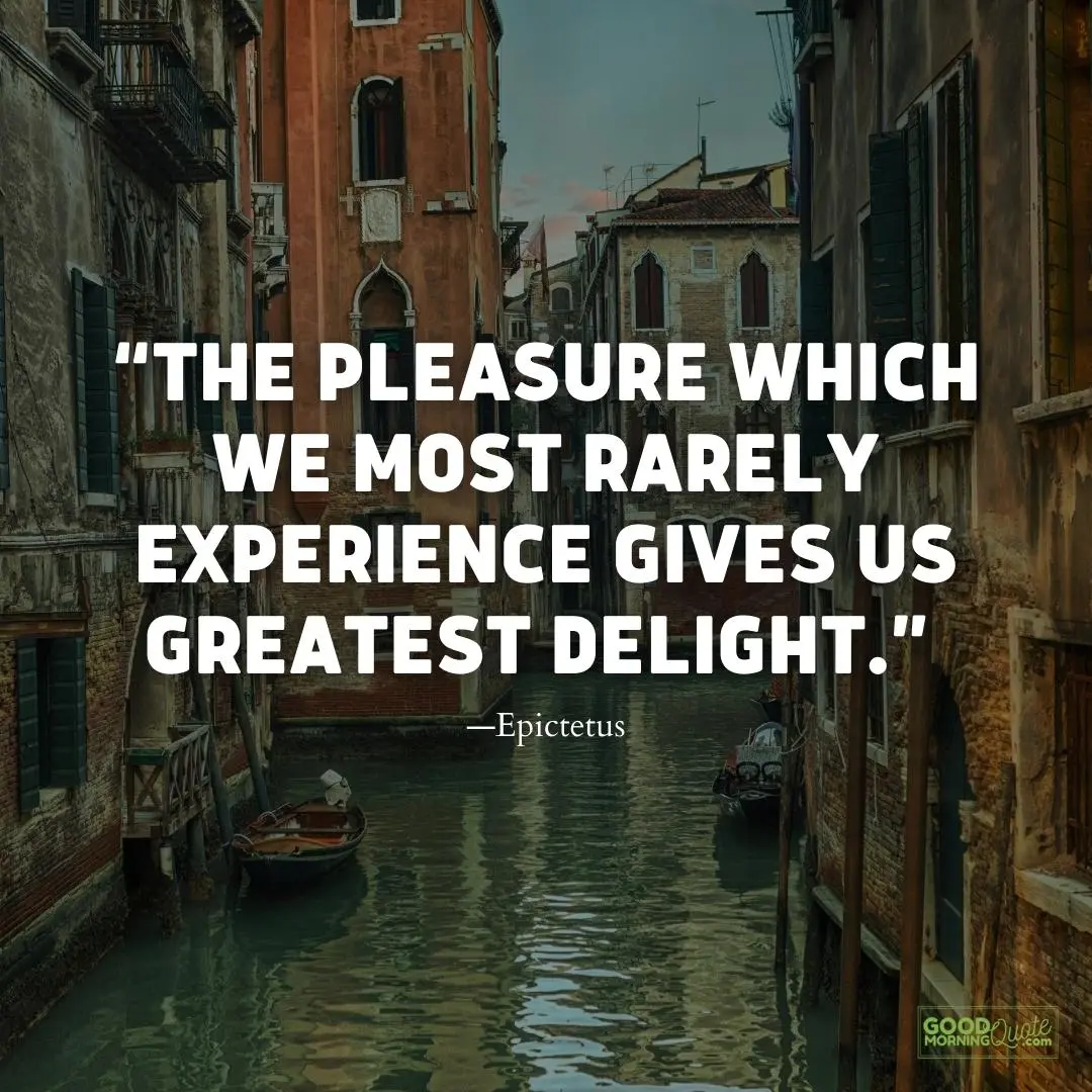 the pleasure which we most rarely experience meaningful life quote