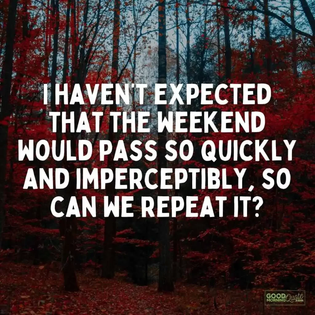 weekend would pass so quickly weekend quote