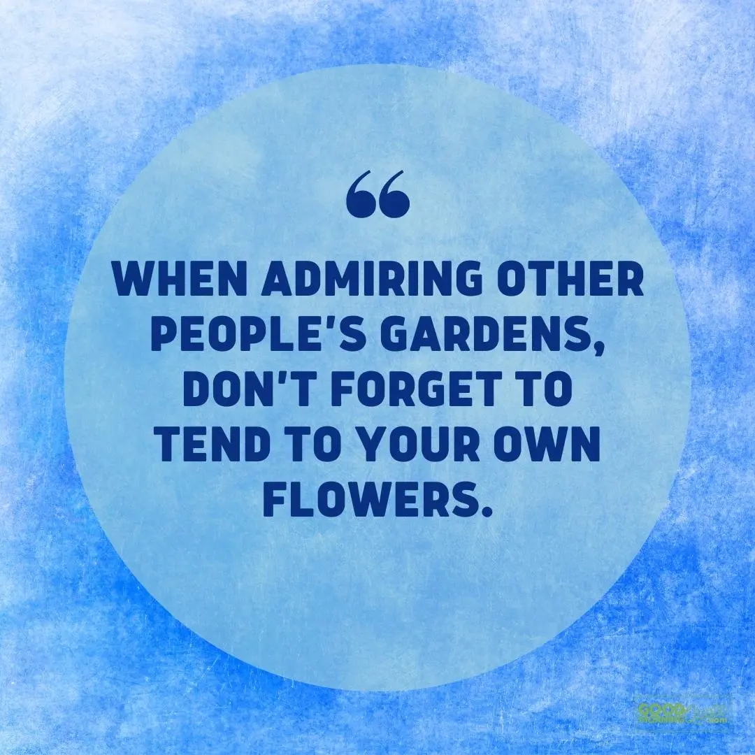 when admiring other people's garden self love quote